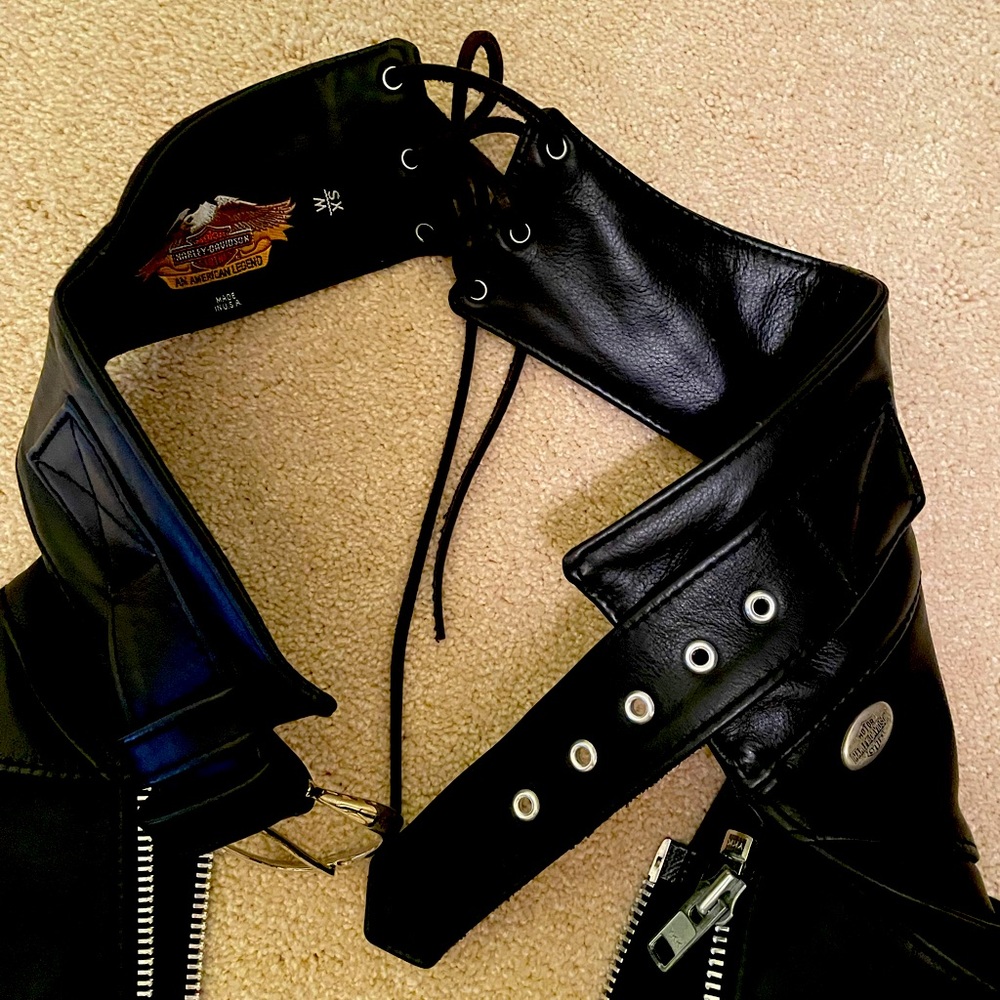 Riding chaps